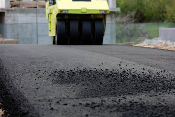 Best Driveway Paving Contractor  in Universal City, TX
